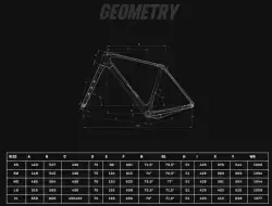2025 BIANCHI ARCADEX COMP APEX 12 VİTES YOL BİSİKLETİ - 2