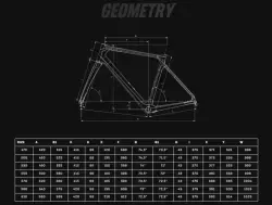 2025 BIANCHI INFINITO 105 12 VİTES YOL BİSİKLETİ - 2