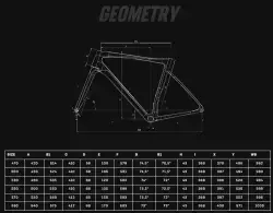2025 BIANCHI SPECIALISSIMA COMP ULTEGRA Di2 12VİTES YOL BİSİKLETİ - 2