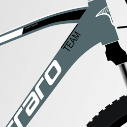 2025 CARRARO DAYTONA 718 DAĞ BİSİKLETİ - 2