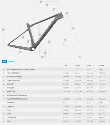 2025 SCOTT SCALE 920 DAĞ BİSİKLETİ - 2