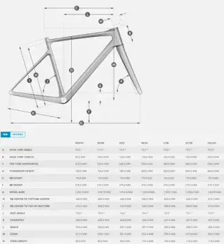 2025 SCOTT SPEEDSTER 20 YOL BİSİKLETİ - 3