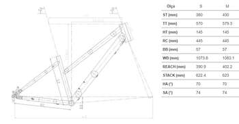 2026 CARRARO FORCE 701 KADIN DAĞ BİSİKLETİ - 2