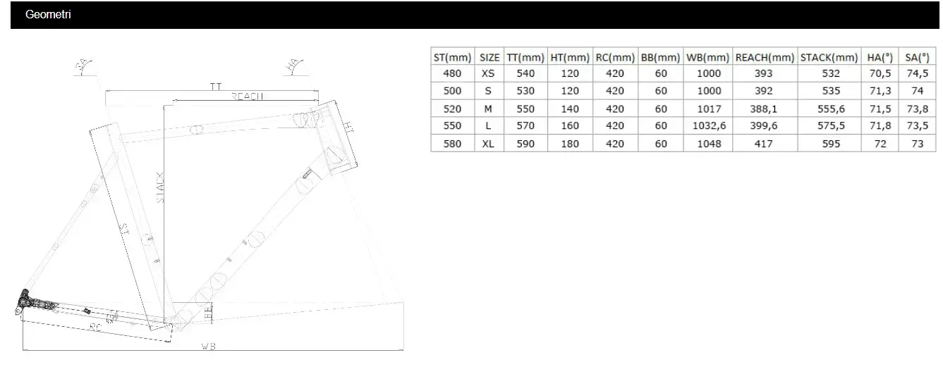 2026 CARRARO GRAVEL G0 CLARIS YOL BİSİKLET - 4