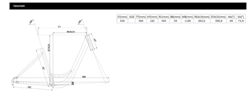2026 CARRARO JULIET 28 JANT KADIN ŞEHİR VE TUR BİSİKLETİ - 2