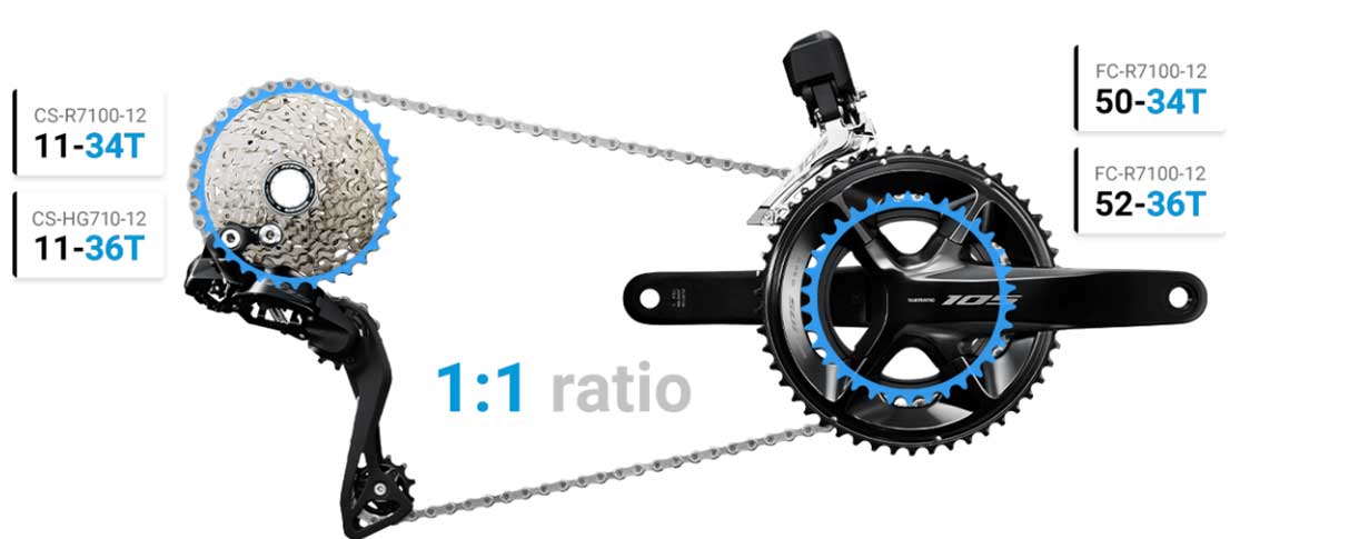 1e1-aktarim2.jpg (47 KB)