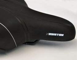 ASISTAN COMFY C500 SELE - 2