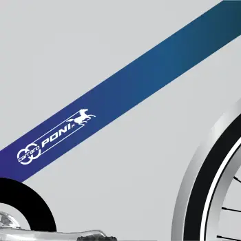 CARRARO PONI 24 JANT ÇOCUK BİSİKLETİ - 2