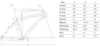 CARRARO SPORTIVE 220 ŞEHİR VE TUR BİSİKLETİ - 2