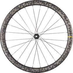 MAVIC COSMIC SLR 45 LTD DISK CENTER LOCK P00043803 TEKER SETİ - 2