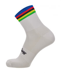 SANTINI UCI OFFICAL WC ÇORAP - SANTINI
